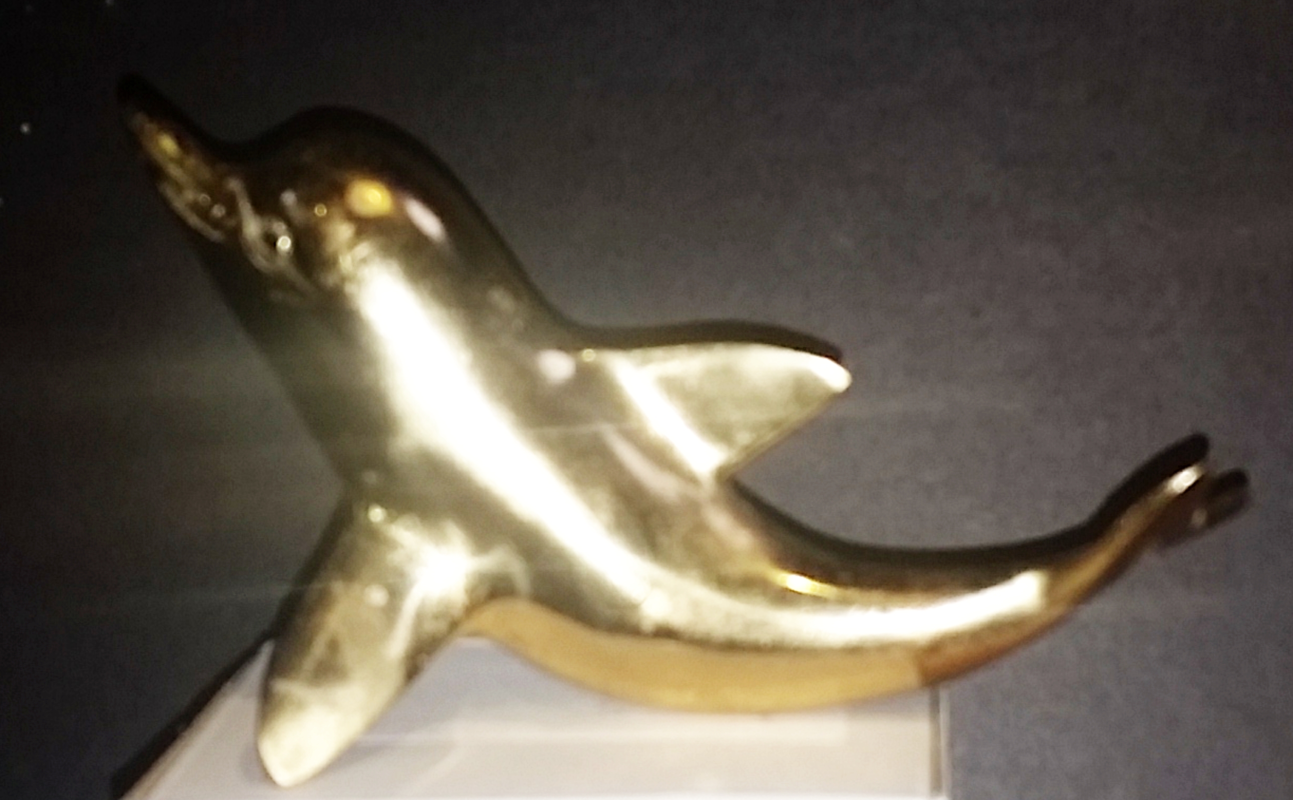 Dolphin Tiller Pin (image for) Dolphin Tiller Pin